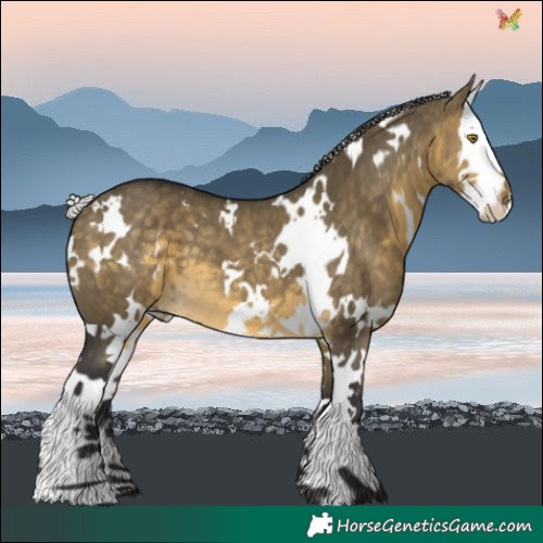 Horse Color:White Spotted Silver Buckskin Dun Splash 