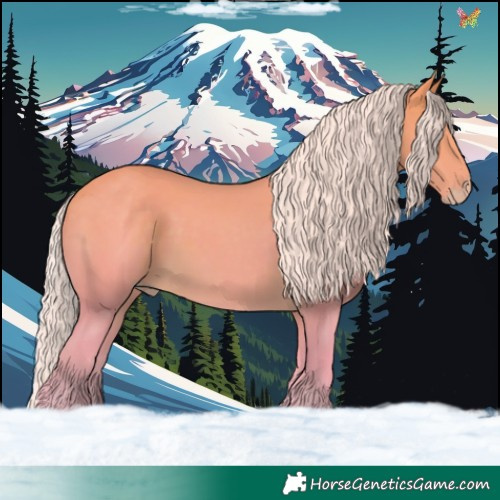 Horse Color:Watercolor Silver Perlino 