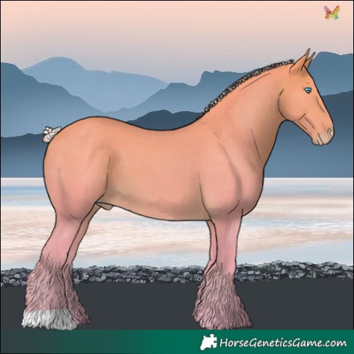 Horse Color:Watercolor Silver Perlino 