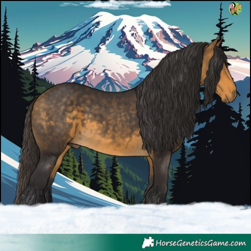 Horse Color:Buckskin 
