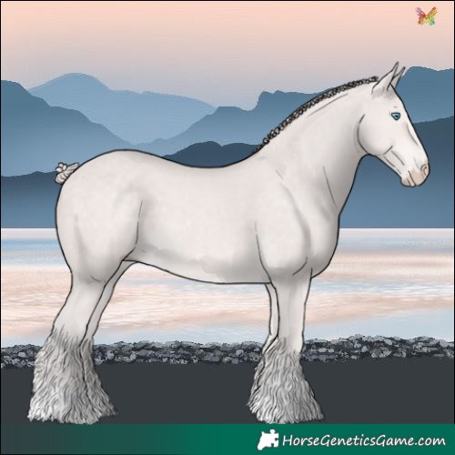 Horse Color:Platinum Perlino 