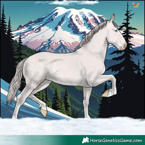 Horse Color:Platinum Perlino 