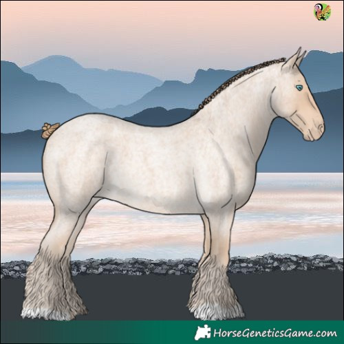 Horse Color:Perlino Roan 