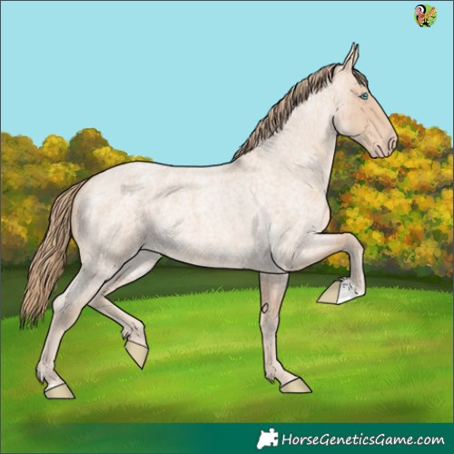 Horse Color:Perlino Roan 