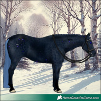 Horse Color:ERROR: UNKNOWN ANOMALY