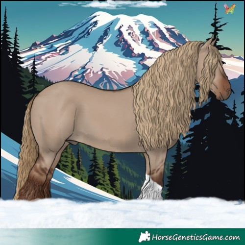 Horse Color:Liver Red Dun Tobiano Rabicano 