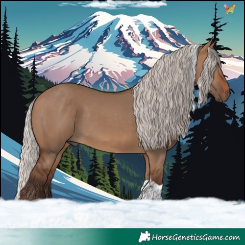 Horse Color:Silver Brown Dun Tobiano Rabicano 