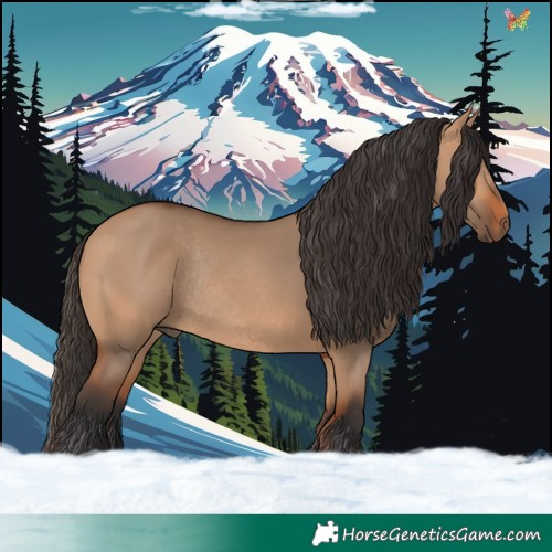 Horse Color:Bay Dun Rabicano 