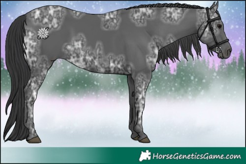 Horse Color:Black Ice 
