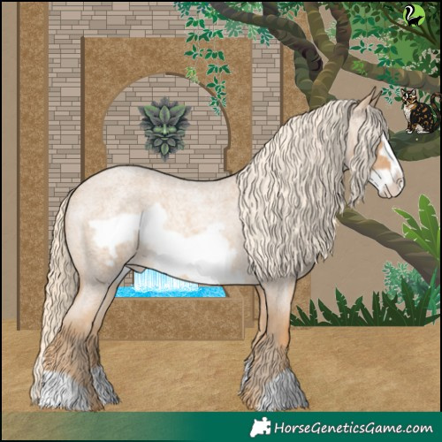 Horse Color:Palomino Roan Frame Appaloosa 