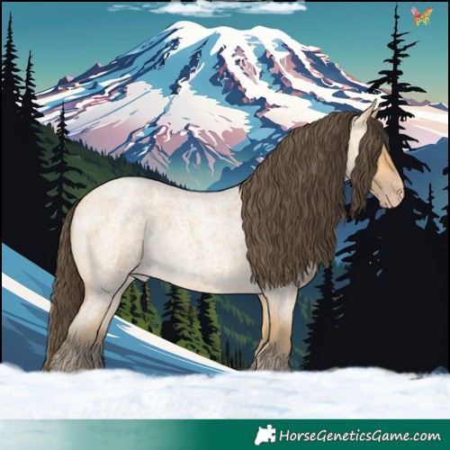 Horse Color:Amber Cream Champagne Roan 