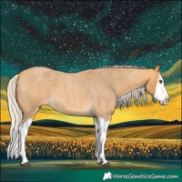 Horse Color:Silver Buckskin Roan Splash 