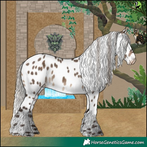 Horse Color:Silver Brown Dun Leopard 