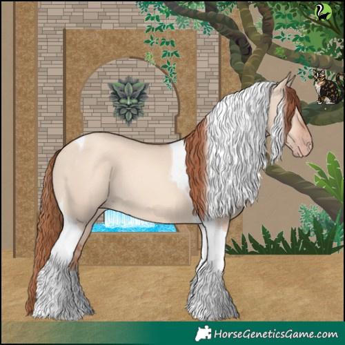 Horse Color:Gold Champagne Dun Tobiano 