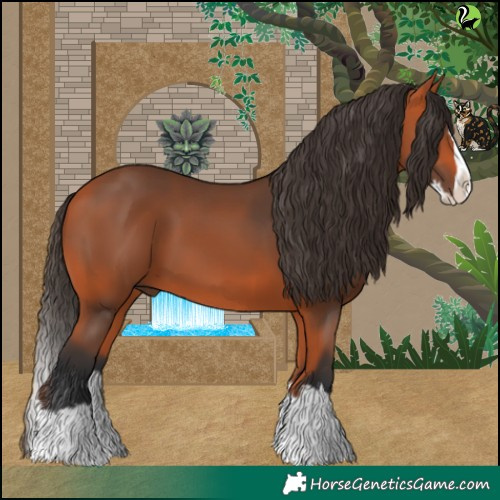 Horse Color:Bay Splash 