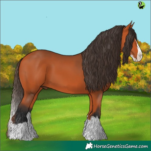Horse Color:Bay Splash 