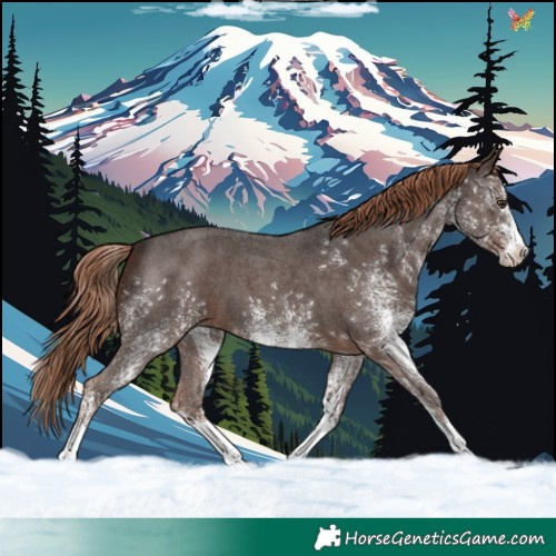 Horse Color:White Spotted Liver Chestnut 