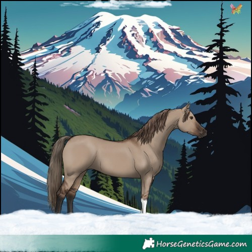 Horse Color:Liver Red Dun Tobiano Rabicano 