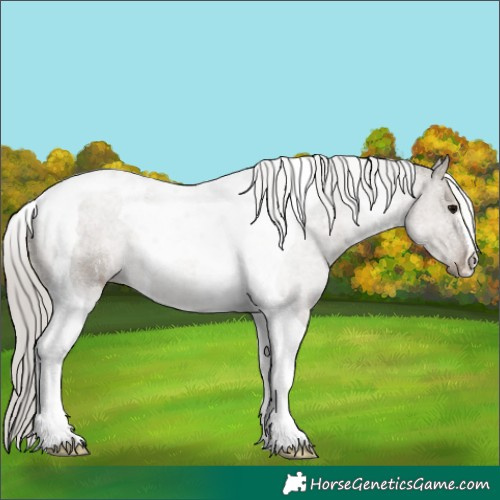 Horse Color:Silver Grullo Tobiano 