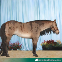 Horse Color:Bay Dun Brindle