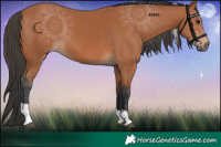 Horse Color:Bay Tobiano 