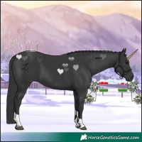 Horse Color:Black Tobiano 