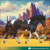 Horse Color:Brown Tobiano 