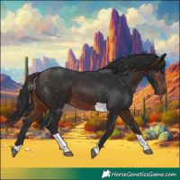 Horse Color:Brown Tobiano 