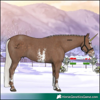 Horse Color:Silver Black Sabino Splash