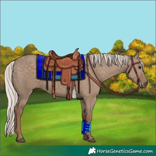 Horse Color:Silver Grullo