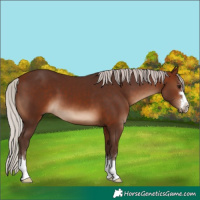 Horse Color:Silver Brown