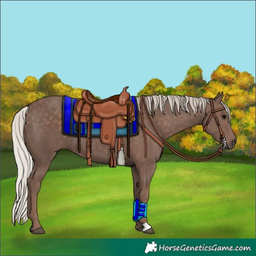 Horse Color:Silver Black 