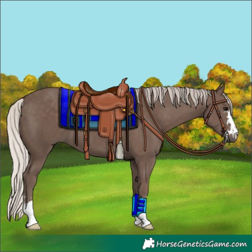 Horse Color:Silver Black 