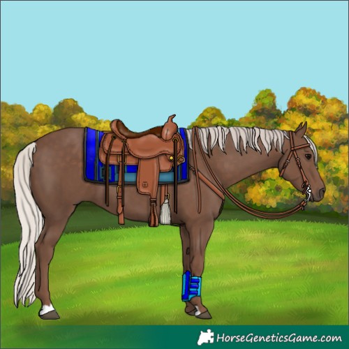 Horse Color:Silver Black 