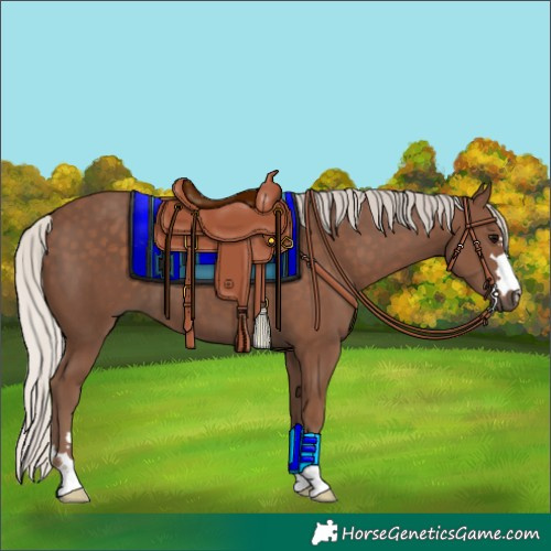 Horse Color:Silver Black 