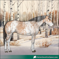 Horse Color:White Spotted Bay Dun Rabicano  and White Spotted Bay Dun Rabicano 