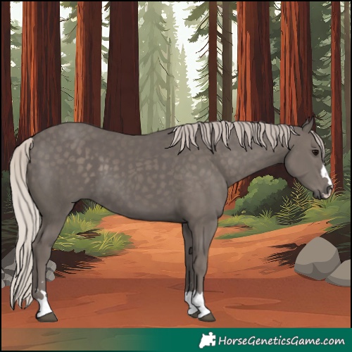 Horse Color:Silver Black 