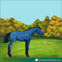 Horse Color:ERROR: UNKNOWN ANOMALY