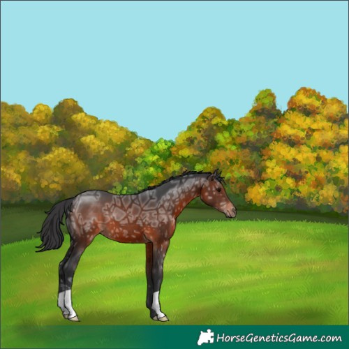 Horse Color:Brown Ice