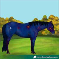 Horse Color:ERROR: UNKNOWN ANOMALY