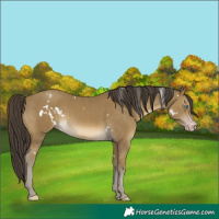 Horse Color:White Spotted Classic Cream Champagne 