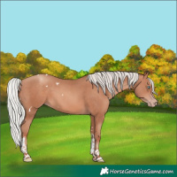 Horse Color:White Spotted Silver Sable Champagne Tobiano Rabicano 