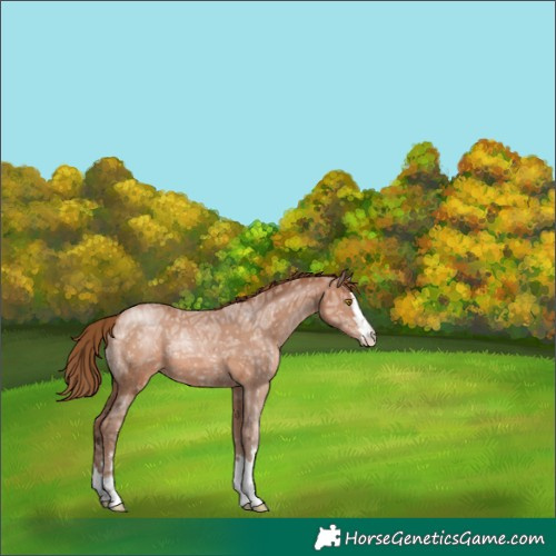 Horse Color:Brown Ice Pearl 