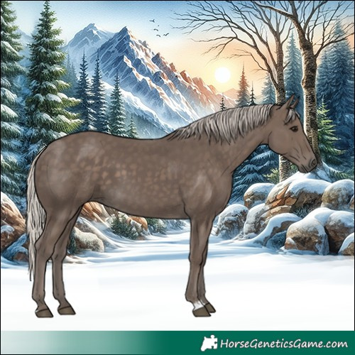 Horse Color:Silver Black 