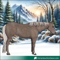 Horse Color:Silver Black 