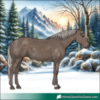 Horse Color:Silver Black 
