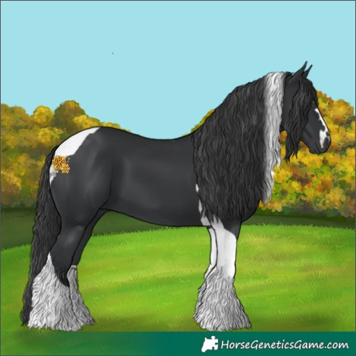 Horse Color:Black Tobiano 