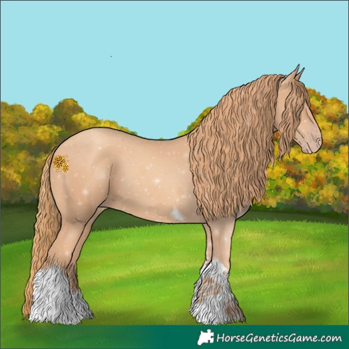 Horse Color:Gold Champagne Tobiano 
