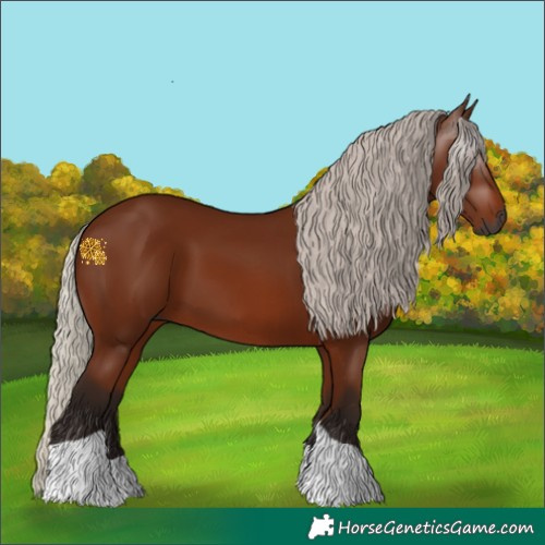 Horse Color:Gray Silver Bay Tobiano 