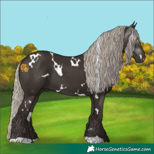 Horse Color:Gray White Spotted Silver Black 